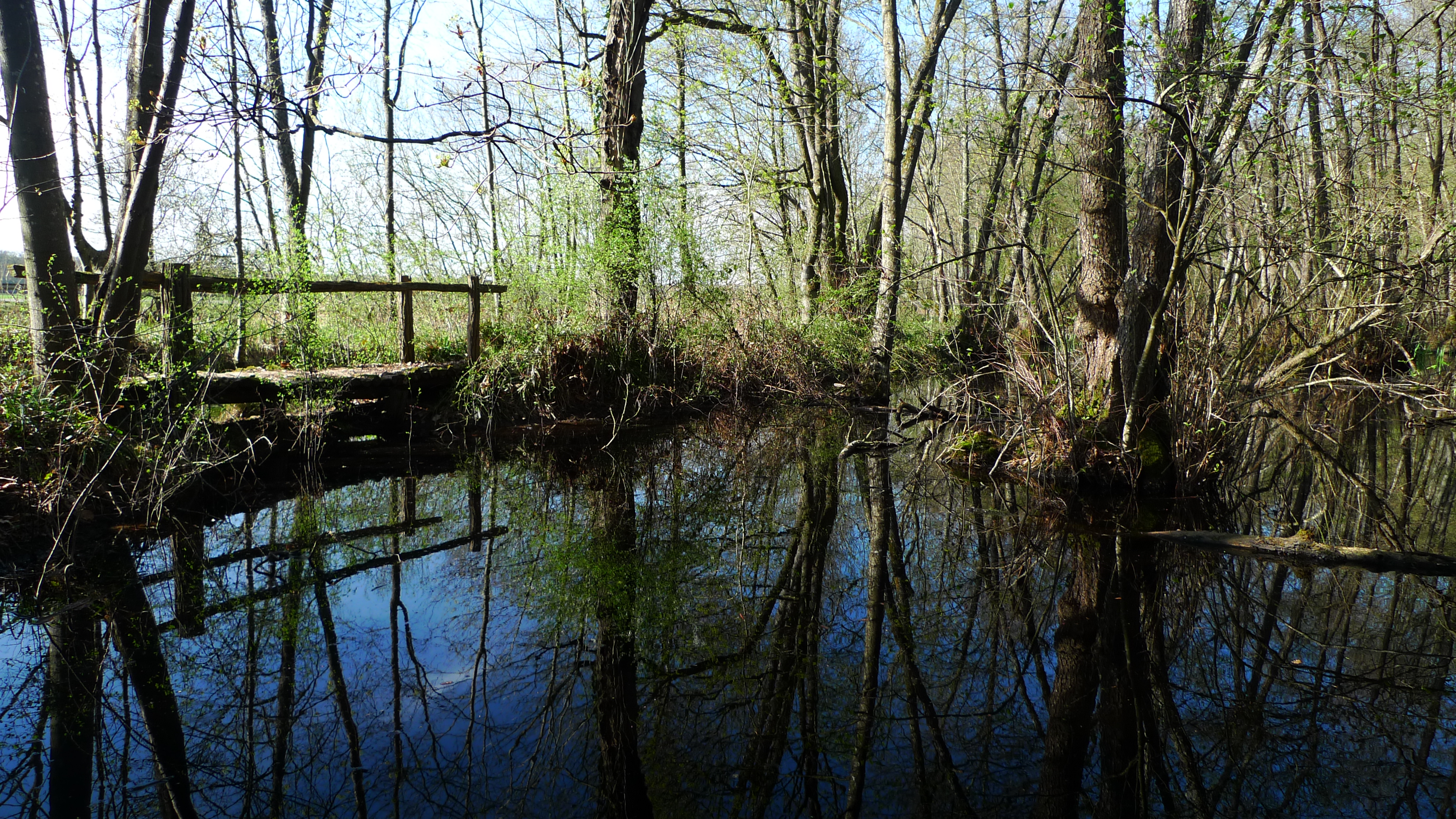 Bannière Saint-Nicolas-lès-Cîteaux