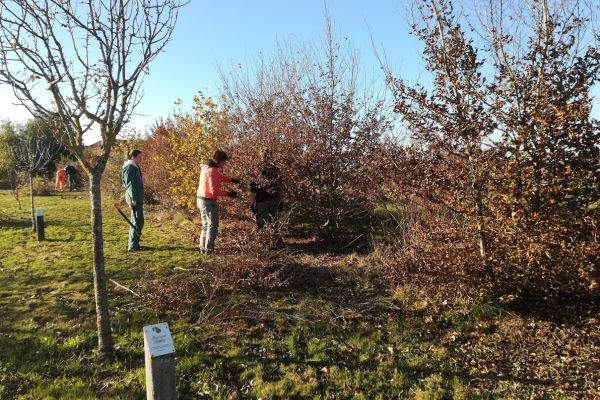Partenariat Quetigny
