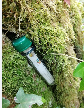 Emplacement d'une cache
