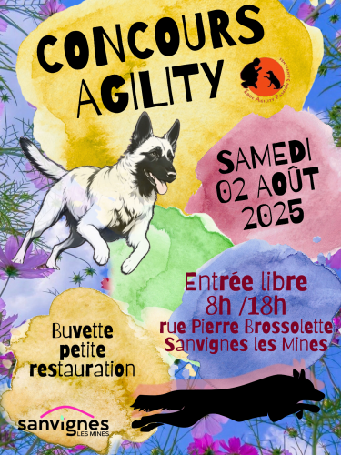 concours d'agility le 2 août 2025