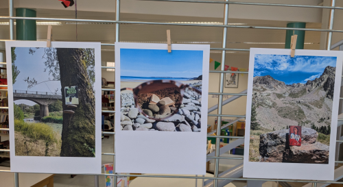 3 photos gagnantes du concours photos à la bibliothèque. expo visible cette semaine