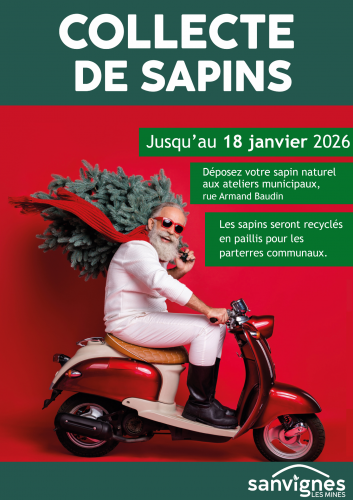 collecte de sapins jusqu'au 18 janvier 2026 rue Armand Baudin
