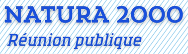 Réunion publique Brassy