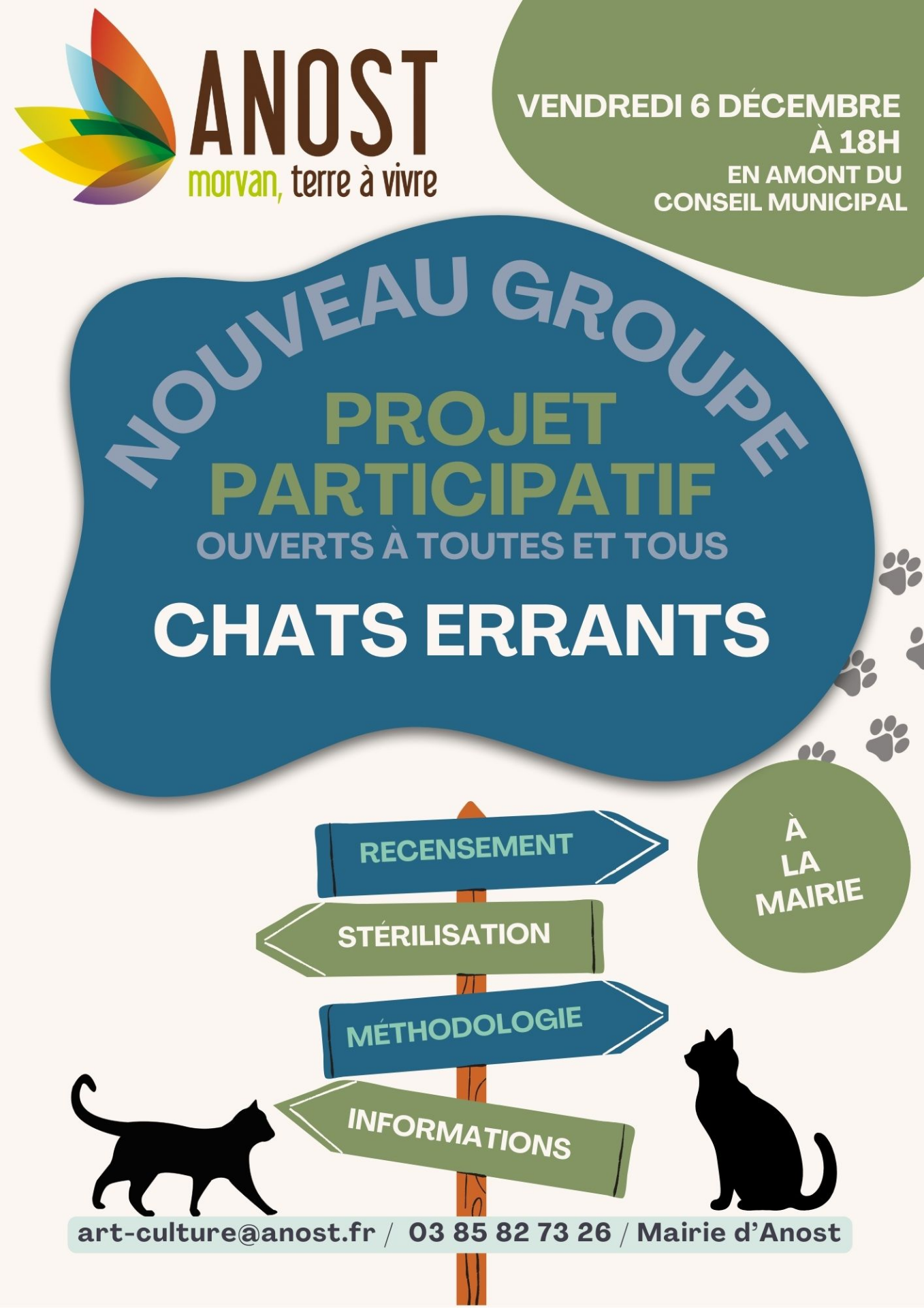 chats errants