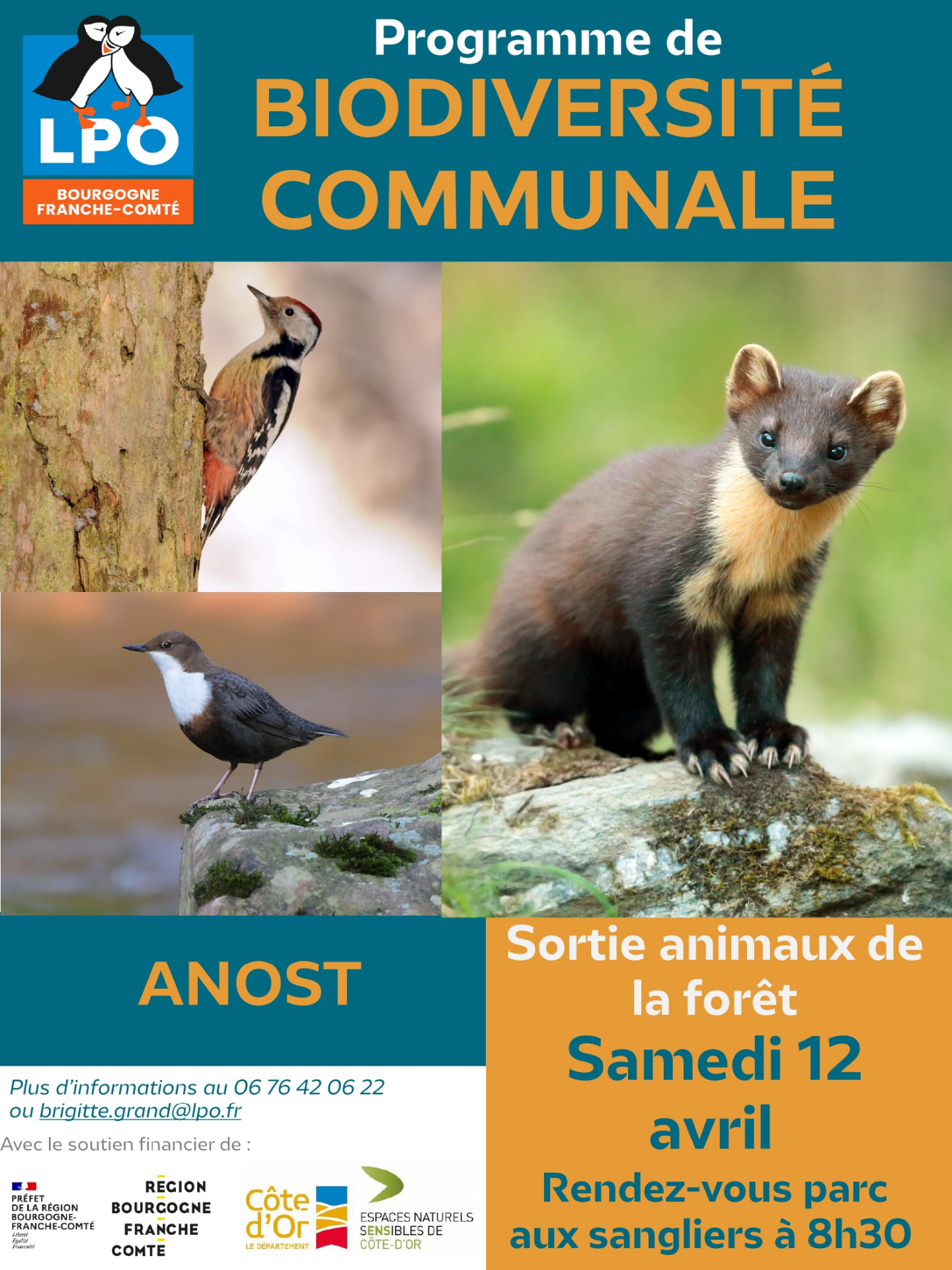 sortie foret 12 avril