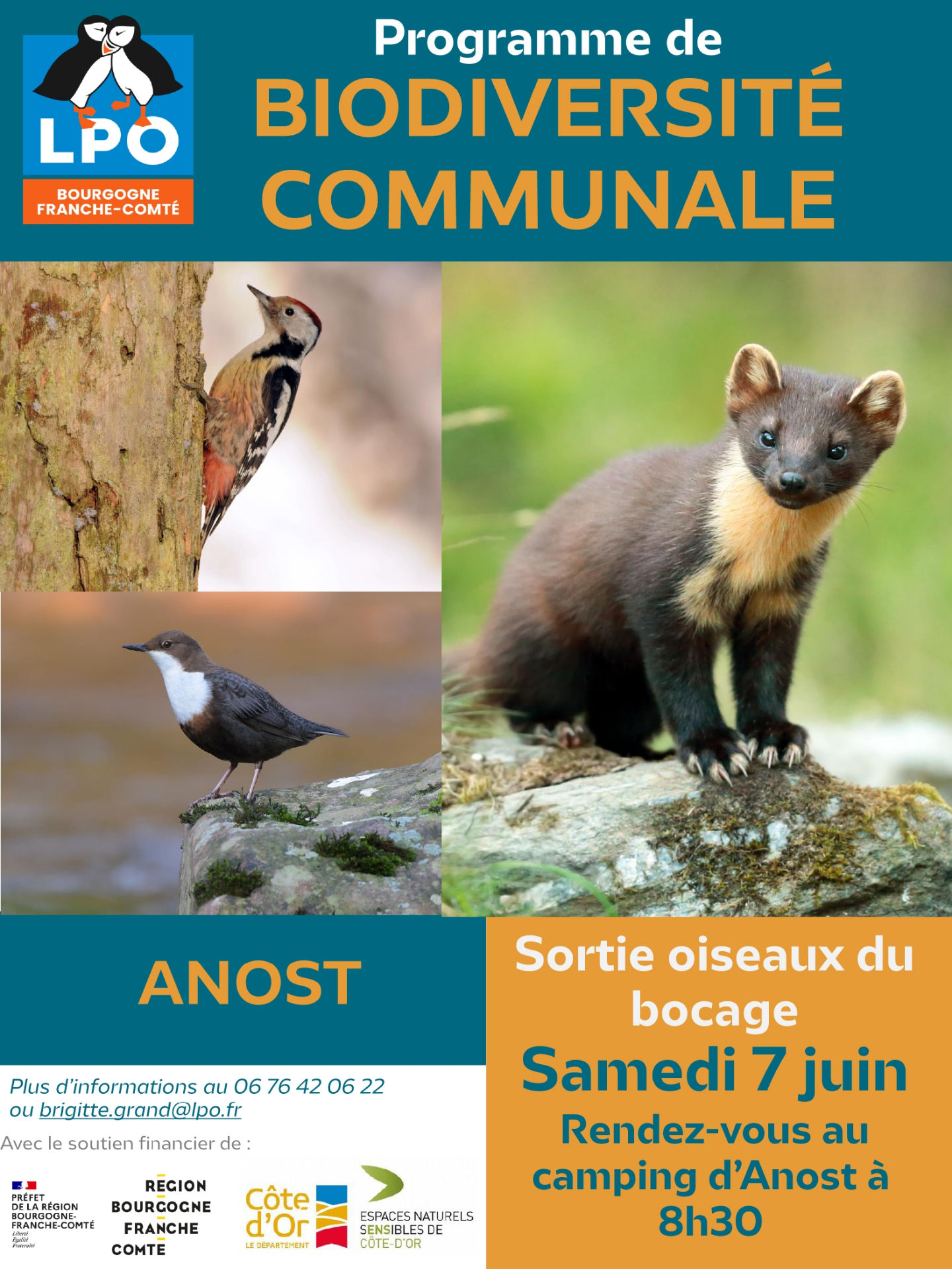 sortie oiseaux du bocage 